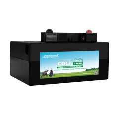 Golf Trolley Lithium Battery 12.8V UL Certified Lightweight High Cycle Life for Golf Carts EverExceed