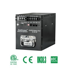 Lithium Ion Battery 36V50Ah/100Ah/150Ah CE Certified for CATV Broadband UPS Systems
