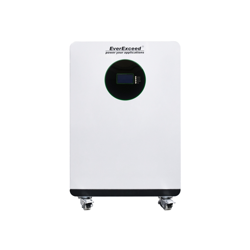 51.2V 16kWh LiFePO4 Floor-Standing Battery High Safety with BMS and Wheels for Home Backup Power EverExceed