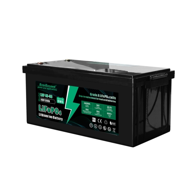 Lithium Ion Battery 38.4V/48V 100Ah/50Ah LiFePO4 for Golf Cart and Tour Vehicle EverExceed
