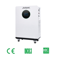 51.2V 16kWh LiFePO4 Floor-Standing Battery High Safety with BMS and Wheels for Home Backup Power EverExceed