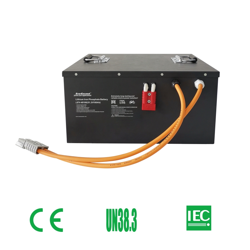 Electric Three Wheel Tricycles Lithium Battery 48V 100ah Lifepo4 Battery High-Capacity Long-Life for E-Bikes and Three Wheelers EverExceed