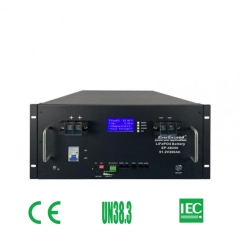 Rechargeable Lithium Battery Pack 51.2V 200ah LiFePO4 High Cycle Life Solar Energy Storage System EverExceed