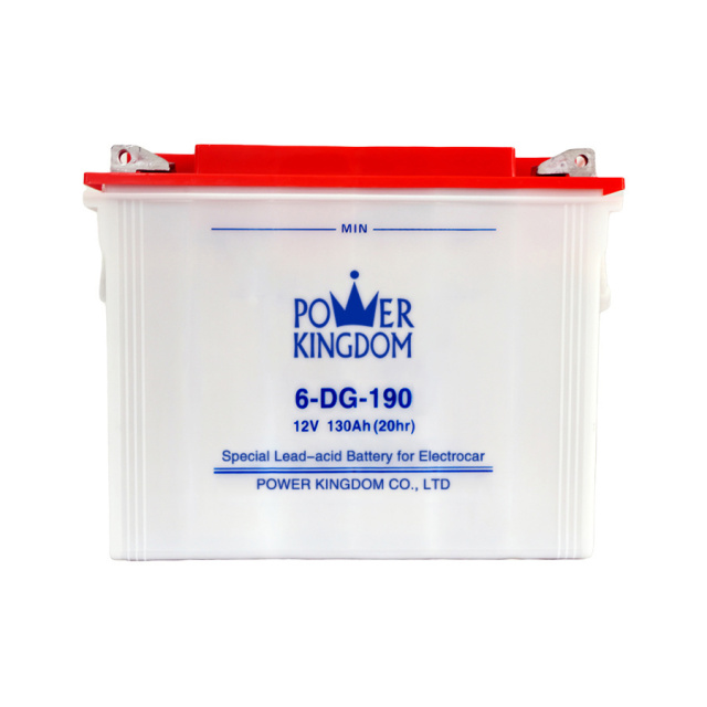 DG Series 6V 12V Deep Cycle Lead-Acid Battery 75Ah-210Ah for Electric Vehicles Power Kingdom