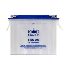 DG Series 6V 12V Deep Cycle Lead-Acid Battery 75Ah-210Ah for Electric Vehicles Power Kingdom