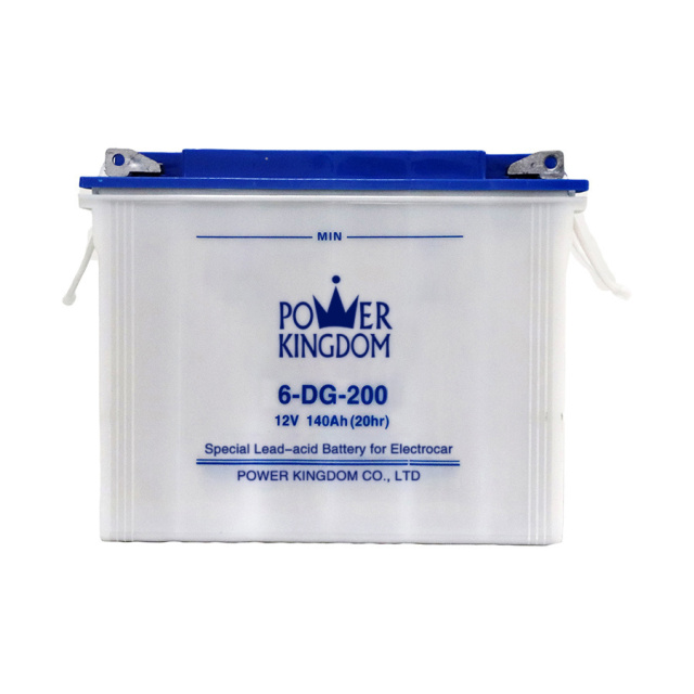 DG Series 6V 12V Deep Cycle Lead-Acid Battery 75Ah-210Ah for Electric Vehicles Power Kingdom