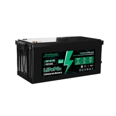 Lithium Ion Battery 38.4V/48V 100Ah/50Ah LiFePO4 for Golf Cart and Tour Vehicle EverExceed