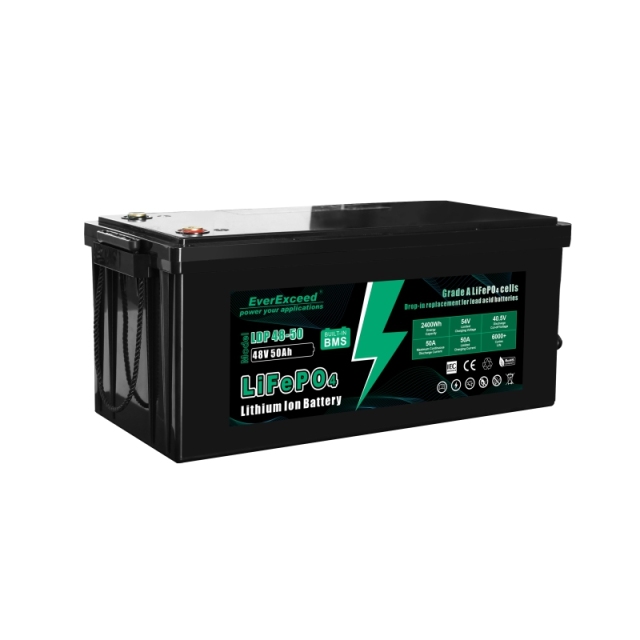 Lithium Ion Battery 38.4V/48V 100Ah/50Ah LiFePO4 for Golf Cart and Tour Vehicle EverExceed