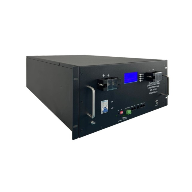 Rechargeable Lithium Battery Pack 51.2V 200ah LiFePO4 High Cycle Life Solar Energy Storage System EverExceed