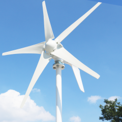 Smaraad SS 400W-1000W Horizontal Wind Turbine Low Start-up Speed High Efficiency for Home Off-grid Power China
