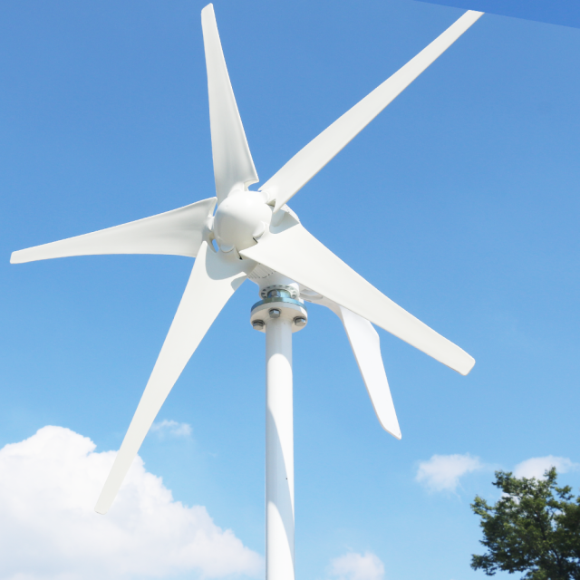 Smaraad SS 400W-1000W Horizontal Wind Turbine Low Start-up Speed High Efficiency for Home Off-grid Power China