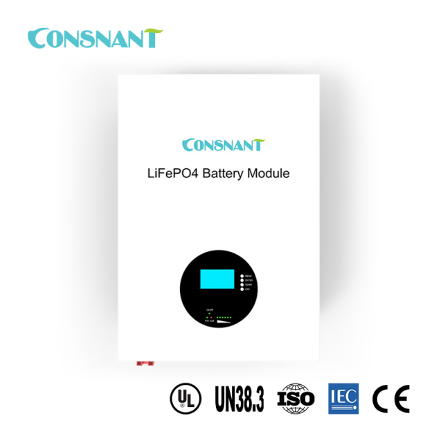 Lithium Iron Phosphate Battery 192V 50Ah 48V 200Ah for Data Center UPS Solar Backup Consnant