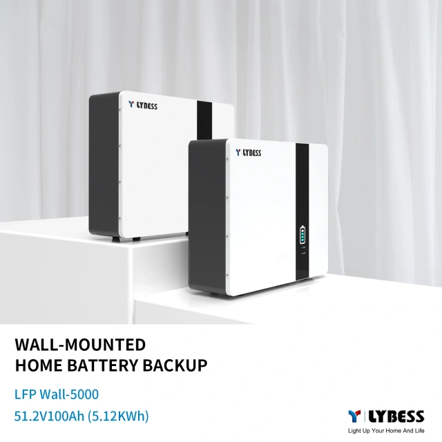 48V 100Ah 5KWh Wall-mounted Home Battery Backup LiFePO4 IP65 Outdoor & Indoor Use for Residential Energy Storage