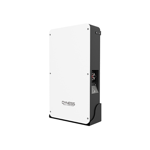 Dyness 10.24kwh Low voltage Powerbox Pro Lithium Battery Pack LiFePO4 51.2V 200Ah for Home Energy Storage and Off-Grid Systems