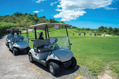 High Performance Golf Cart Battery 48V 72V 100Ah 105Ah Lithium-ion Long Range Fast Charging for Golf Carts Flyfine
