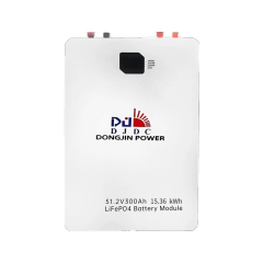 51.2V 300AH Home Storage Power LiFePO4 Battery High-Cycle Life Solar Energy Storage System DONGJIN