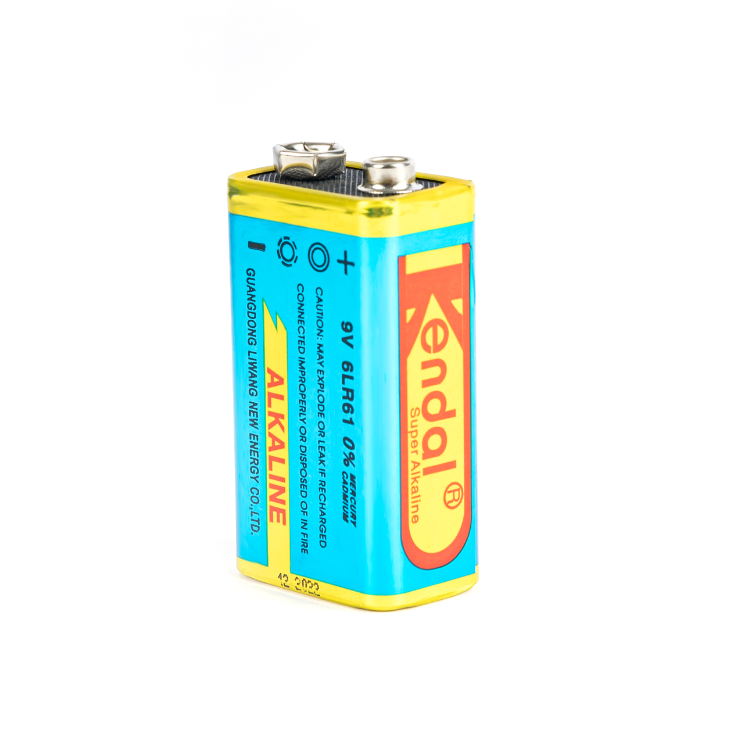 Alkaline Battery 6LR61 9V Large Capacity Long-Lasting for Smoke Detector Wireless Doorbell Microphone Kendall