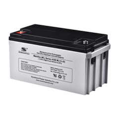12V 65Ah AGM Battery Deep Cycle Sealed Lead Acid for UPS Solar Backup Power Sunstone Power