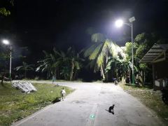 Solar Street Light 30W-400W Integrated All-in-One Solar Lighting for Outdoor, Rural Park and Engineering Road Lighting