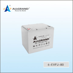 6-EVFJ-80 Deep Cycle Lead-Acid Battery High Discharge Current for Electric Low Speed Vehicles, Golf Carts, Street Sweepers