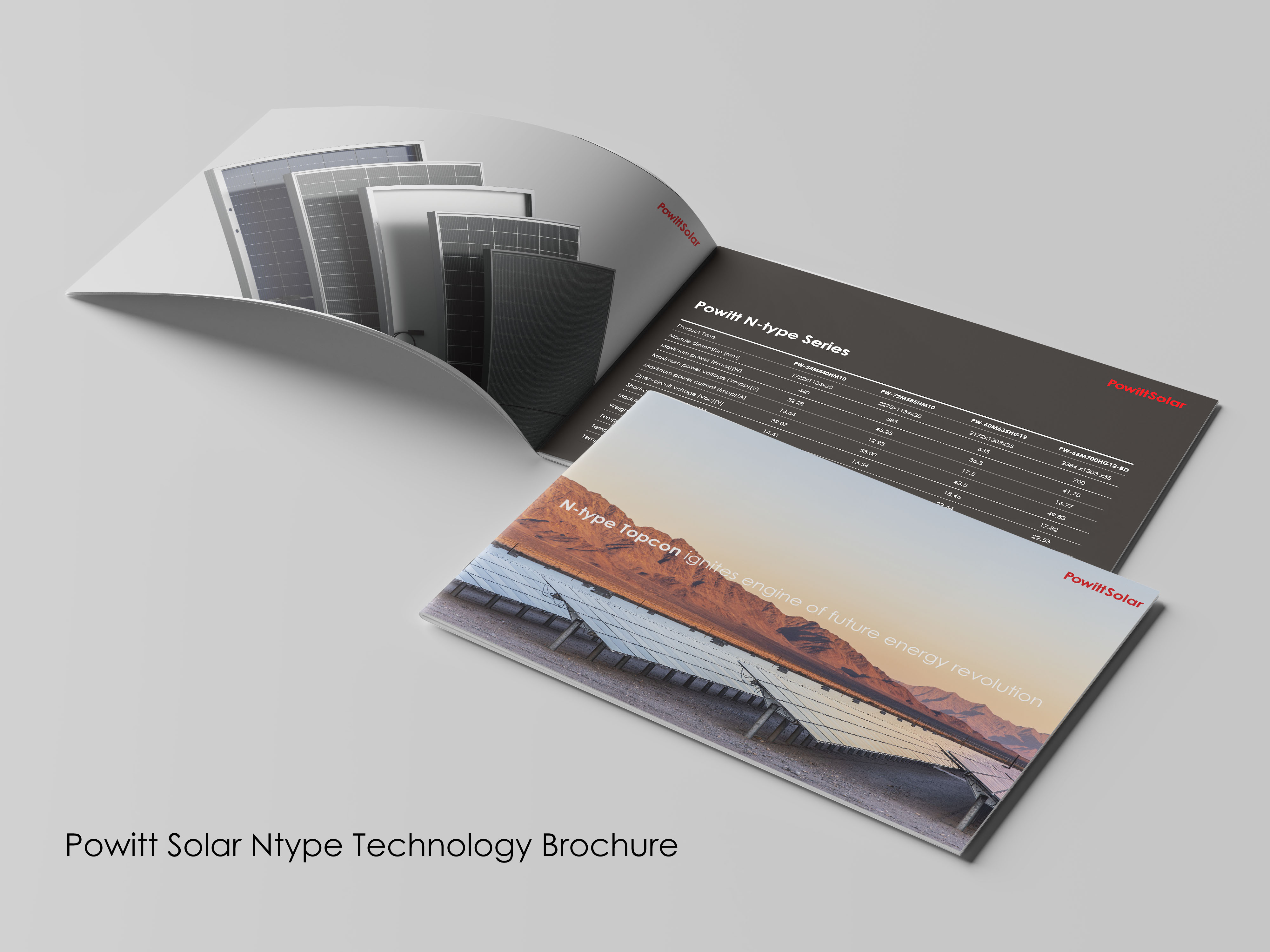 Solar Panels N-Type TOPCon Technology M10 G12 Series for Residential and Commercial PV Systems