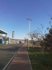 Solar Street Light 30W-400W Integrated All-in-One Solar Lighting for Outdoor, Rural Park and Engineering Road Lighting