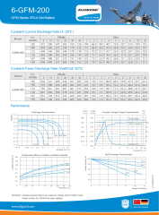 6-GFM-200 Long Life Up to 12 Years High Specific Energy for UPS EPS and Medical Equipment Allgrand