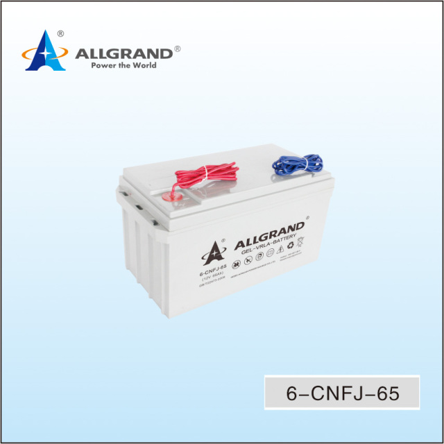 6-CNFJ-65 Long Life Deep Cycle Battery for Solar Wind Off-Grid Systems