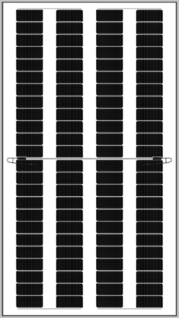 S BLADE High Transparency Bifacial Solar Modules for Building Integration and Agricultural Applications