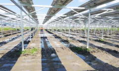 ARES PV Agriculture Kit 30KW-1000KW BIPV Racking System for Dual Land Use in Farming & Solar Power Shinson