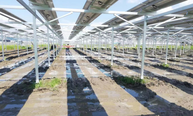 ARES PV Agriculture Kit 30KW-1000KW BIPV Racking System for Dual Land Use in Farming & Solar Power Shinson