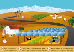 ARES PV Agriculture Kit 30KW-1000KW BIPV Racking System for Dual Land Use in Farming & Solar Power Shinson