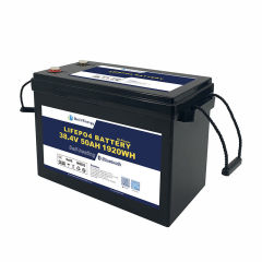 Deep Cycle LiFePO4 Lithium Battery 36V 50AH Smart BMS Marine Boat Renewable Energy