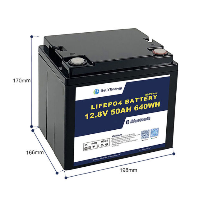 12V 50AH LiFePo4 Battery with Smart BMS Lightweight High Cycle Life for Boats Fishing and RVs