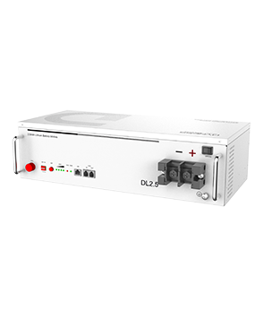 DL2.5