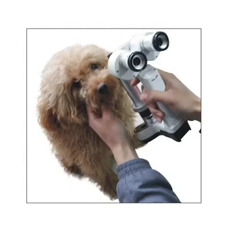 KJ5S2 Portable slit Lamp 2 Magnifications Slit Lamp Ophthalmology Equipment Eye Exam Handheld Slit Lamp microscope