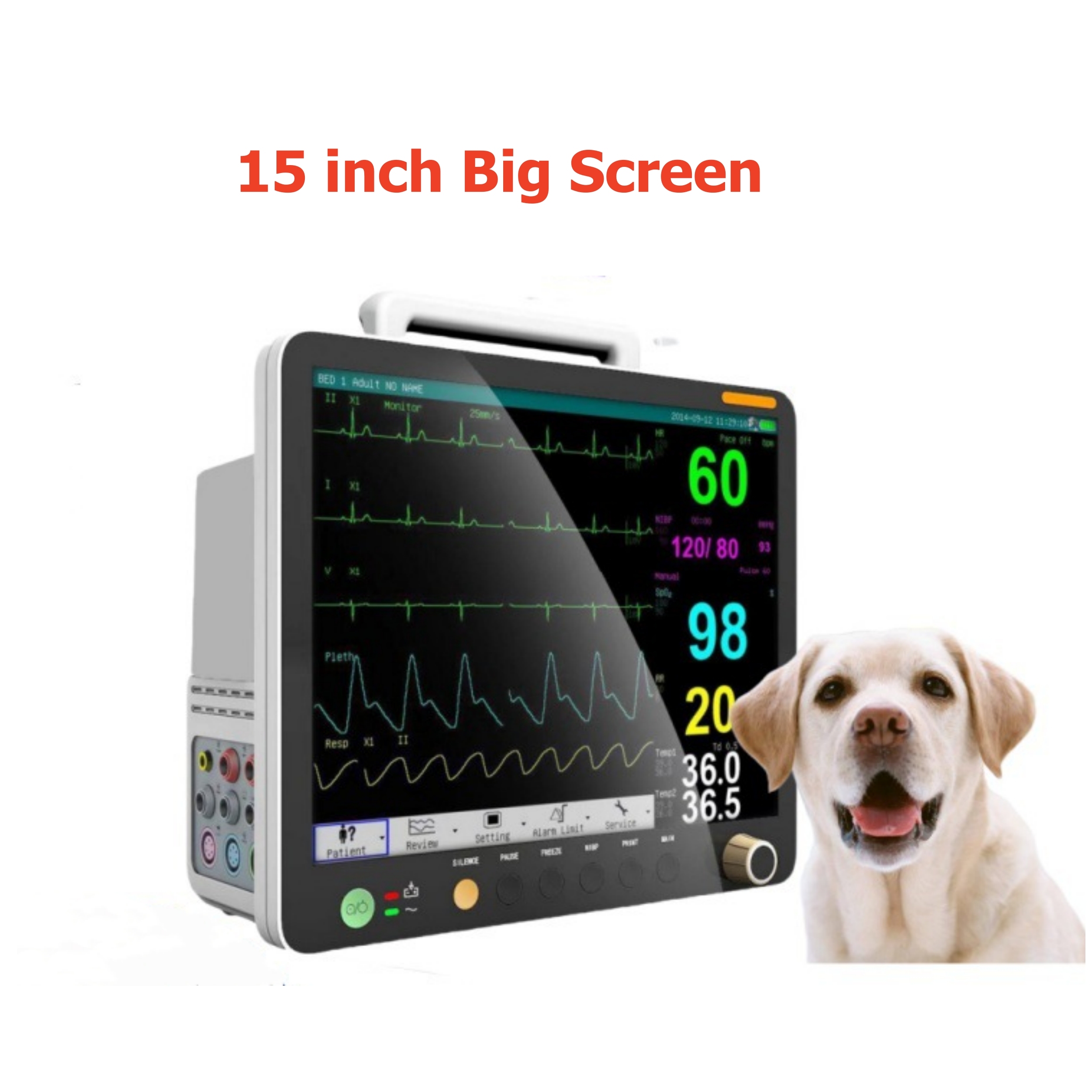 15 inch Screen Pet Monitor with Multiparameter Capnograph IBP Vital Signs,Animal Patient Monitor,VET Patient Monitor Veterinary Equipment
