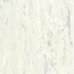Pattern Design-Ca Ya