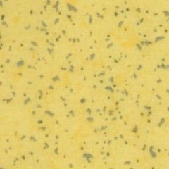 Heterogeneous-Fan Xing Cui Can