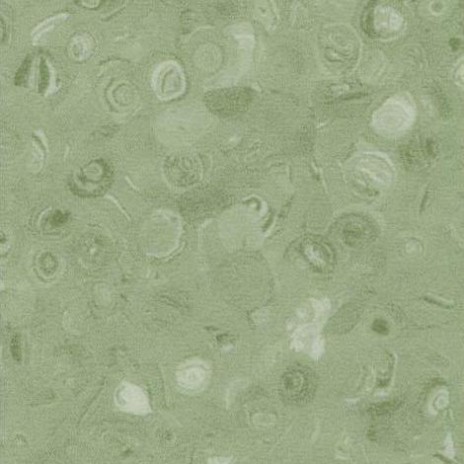 Heterogeneous-Chun Guang Li