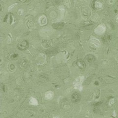 Heterogeneous-Chun Guang Li