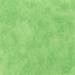 Heterogeneous-New Jing Bao