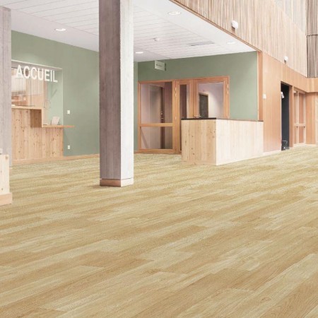 Wood Pattern-Nature Forest