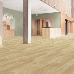 Wood Pattern-Nature Forest