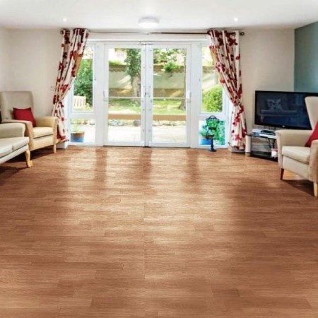Wood Pattern-Nature Forest