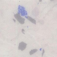 Heterogeneous-Nature DiBiaoFuHao