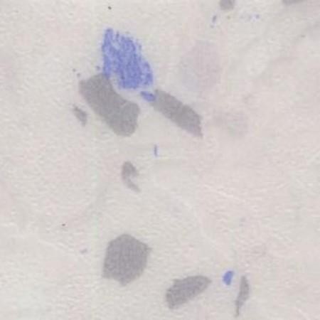 Heterogeneous-Nature DiBiaoFuHao