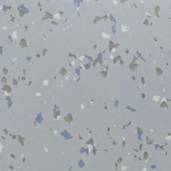 Homogeneous-Ca Sheng