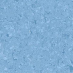 Homogeneous-Ca Wei