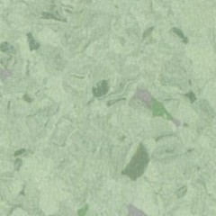 Homogeneous-Shang Ya